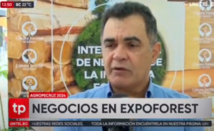 La Rueda de Negocios de la Industria Forestal atrae la atención de empresarios de nueve países